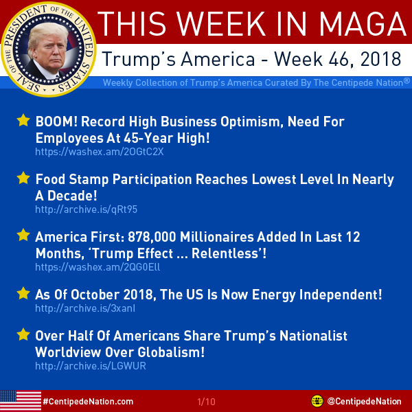 This Week In MAGA – Trump’s America – Week 46 2018