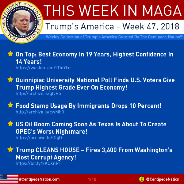 This Week In MAGA – Trump’s America – Week 47 2018