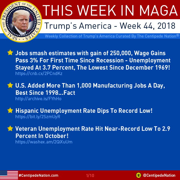 This Week In MAGA – Trump’s America – Week 44 2018