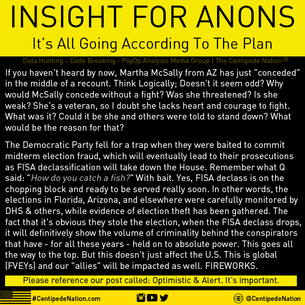 INSIGHT FOR ANONS – It’s All Going According To The Plan