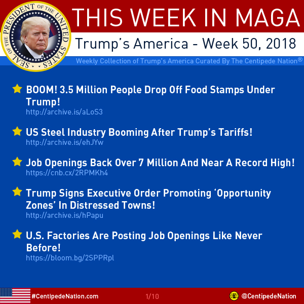 This Week In MAGA – Trump’s America – Week 50 2018