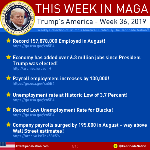 This Week In MAGA – Trump’s America – Week 36 2019