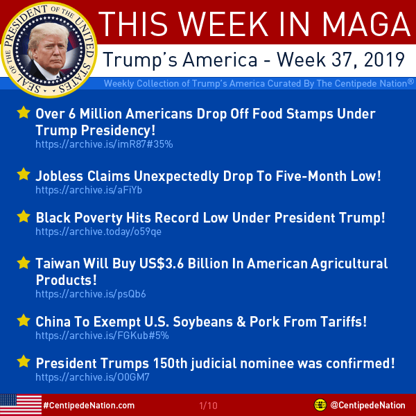 This Week In MAGA – Trump’s America – Week 37 2019