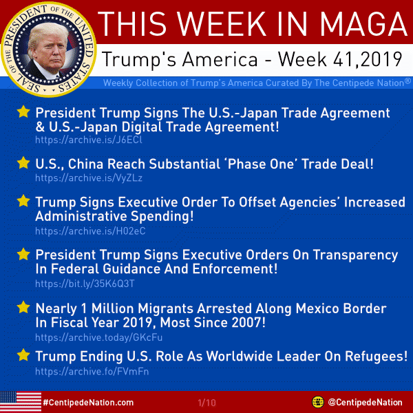 This Week In MAGA – Trump’s America – Week 41 2019