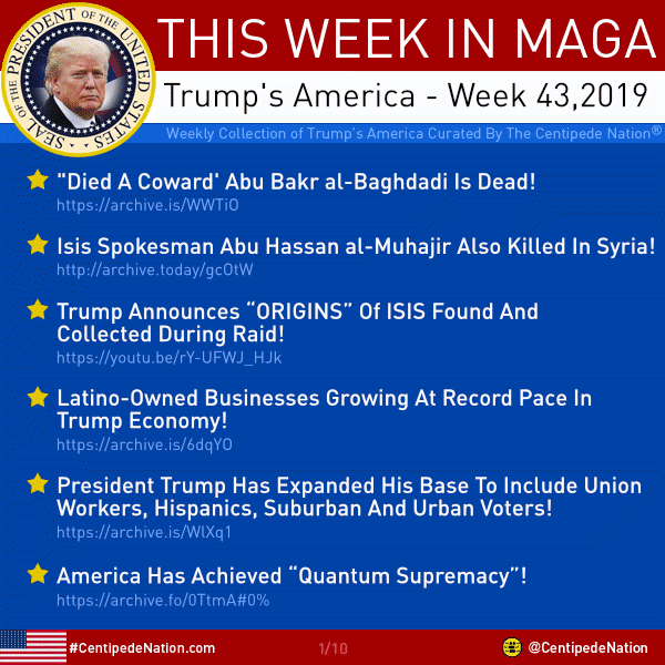 This Week In MAGA – Trump’s America – Week 43 2019