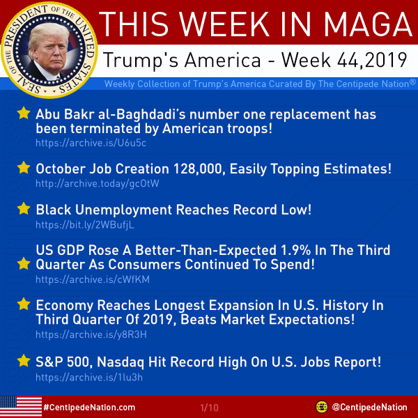 This Week In MAGA – Trump’s America – Week 44 2019