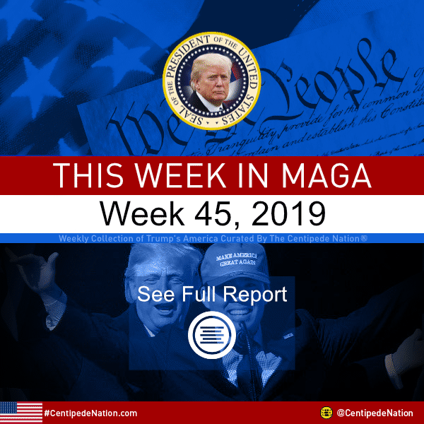 This Week In MAGA – Trump’s America – Week 45 2019