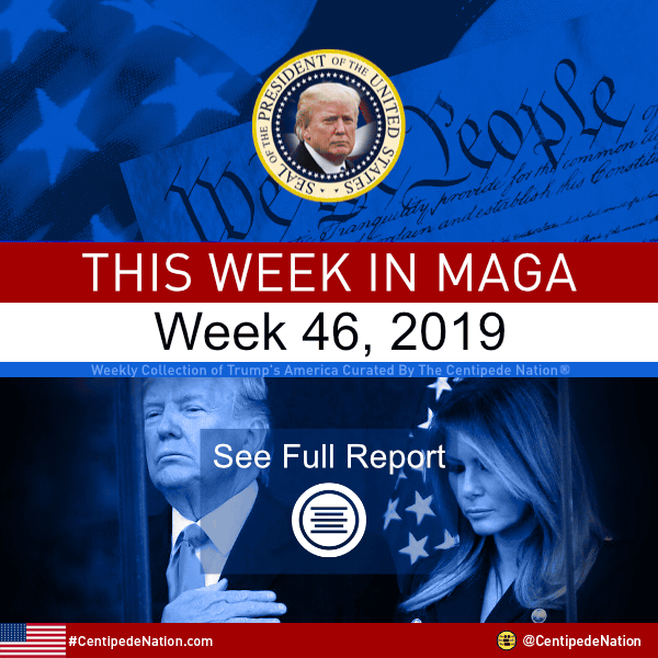 This Week In MAGA – Trump’s America – Week 46 2019