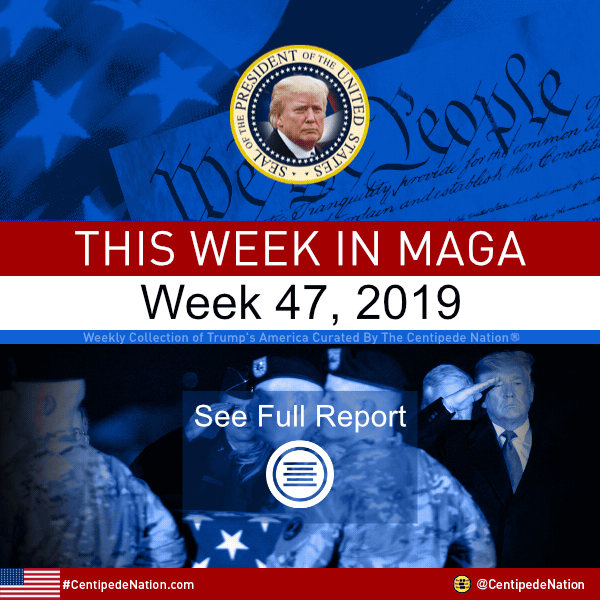 This Week In MAGA – Trump’s America – Week 47 2019