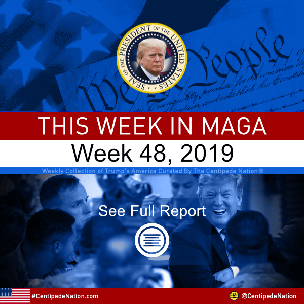 This Week In MAGA – Trump’s America – Week 48 2019